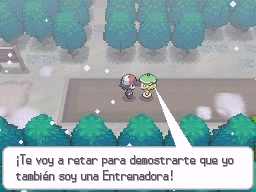 Ruta 6 en Pokémon Negro y Blanco — captura 1