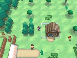 Bosque Blanco, Ciudad Negra en Pokémon Negro y Blanco — captura 2