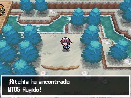 Ruta 10 en Pokémon Negro y Blanco — captura 1