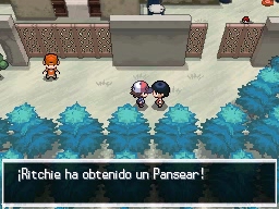 Ciudad Gres en Pokémon Negro y Blanco — captura 1