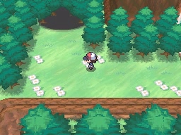 Ruta 14 en Pokémon Negro y Blanco — captura 1
