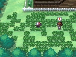 Puente Villa en Pokémon Negro y Blanco — captura 2