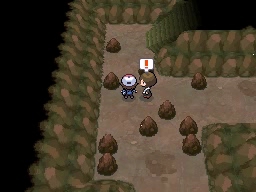 Calle Victoria en Pokémon Negro y Blanco — captura 2 Calle Victoria en Pokémon Negro y Blanco — captura 2