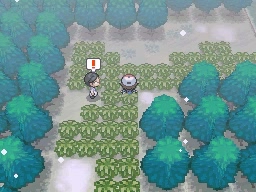 Ruta 6 en Pokémon Negro y Blanco — captura 2