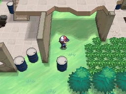 Solar de los Sueños en Pokémon Negro y Blanco — captura 1