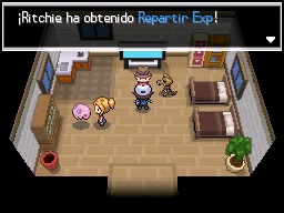 Ciudad Teja en Pokémon Negro y Blanco — captura 2