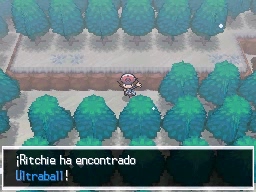 Ruta 6 en Pokémon Negro y Blanco — captura 1