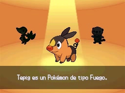 Pueblo Arcilla en Pokémon Negro y Blanco — captura 2 Pueblo Arcilla en Pokémon Negro y Blanco — captura 2