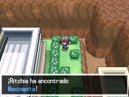 Pueblo Arenisca en Pokémon Negro y Blanco — captura 1 Pueblo Arenisca en Pokémon Negro y Blanco — captura 1