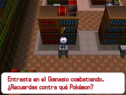 Ciudad Esmalte en Pokémon Negro y Blanco — captura 2