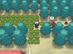 Ruta 5 en Pokémon Negro y Blanco — captura 1 Ruta 5 en Pokémon Negro y Blanco — captura 1