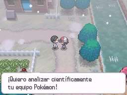 Ruta 6 en Pokémon Negro y Blanco — captura 1