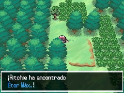 Ruta 13 en Pokémon Negro y Blanco — captura 2 Ruta 13 en Pokémon Negro y Blanco — captura 2