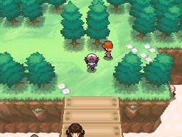 Ruta 13 en Pokémon Negro y Blanco — captura 1 Ruta 13 en Pokémon Negro y Blanco — captura 1