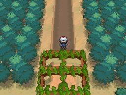 Ruta 3 en Pokémon Negro y Blanco — captura 2 Ruta 3 en Pokémon Negro y Blanco — captura 2