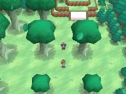 Bosque Blanco, Ciudad Negra en Pokémon Negro y Blanco — captura 1