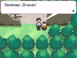 Solar de los Sueños en Pokémon Negro y Blanco — captura 1