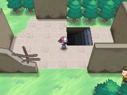 Solar de los Sueños en Pokémon Negro y Blanco — captura 1