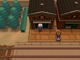 Ciudad Esmalte en Pokémon Negro y Blanco — captura 2