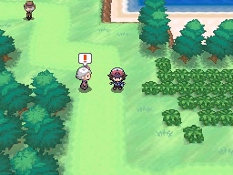 Ruta 13 en Pokémon Negro y Blanco — captura 1 Ruta 13 en Pokémon Negro y Blanco — captura 1