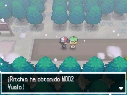 Ruta 6 en Pokémon Negro y Blanco — captura 2