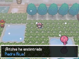 Ruta 6 en Pokémon Negro y Blanco — captura 2