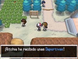 Ruta 2 en Pokémon Negro y Blanco — captura 2 Ruta 2 en Pokémon Negro y Blanco — captura 2