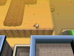 Ruta 4 en Pokémon Negro y Blanco — captura 1