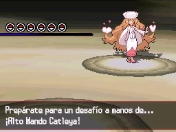 Segunda Liga en Pokémon Negro y Blanco — captura 2 Segunda Liga en Pokémon Negro y Blanco — captura 2