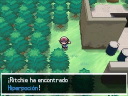 Solar de los Sueños en Pokémon Negro y Blanco — captura 2