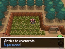 Ruta 3 en Pokémon Negro y Blanco — captura 1 Ruta 3 en Pokémon Negro y Blanco — captura 1