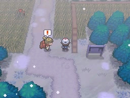 Ruta 7 en Pokémon Negro y Blanco — captura 2