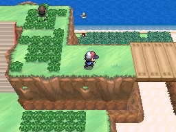 Ruta 17-18 en Pokémon Negro y Blanco — captura 1 Ruta 17-18 en Pokémon Negro y Blanco — captura 1