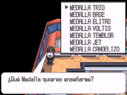 Pueblo Ladrillo en Pokémon Negro y Blanco — captura 2