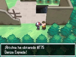 Solar de los Sueños en Pokémon Negro y Blanco — captura 2