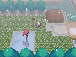 Ruta 6 en Pokémon Negro y Blanco — captura 1