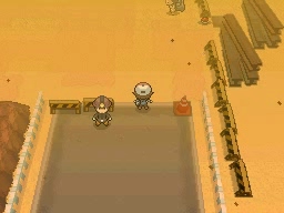 Ruta 4 en Pokémon Negro y Blanco — captura 2