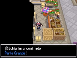Ciudad Fayenza en Pokémon Negro y Blanco — captura 1 Ciudad Fayenza en Pokémon Negro y Blanco — captura 1