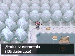 Ruta 8 en Pokémon Negro y Blanco — captura 1