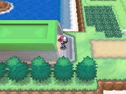 Ruta 17-18 en Pokémon Negro y Blanco — captura 1 Ruta 17-18 en Pokémon Negro y Blanco — captura 1