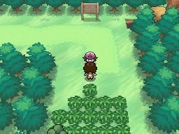 Ruta 13 en Pokémon Negro y Blanco — captura 1 Ruta 13 en Pokémon Negro y Blanco — captura 1