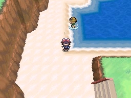 Ruta 13 en Pokémon Negro y Blanco — captura 1 Ruta 13 en Pokémon Negro y Blanco — captura 1