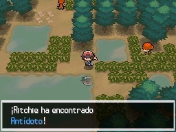 Bosque Azulejo en Pokémon Negro y Blanco — captura 1