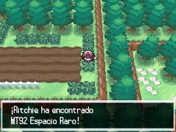 Ruta 14 en Pokémon Negro y Blanco — captura 2