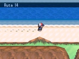 Ruta 14 en Pokémon Negro y Blanco — captura 1
