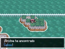 Puente Villa en Pokémon Negro y Blanco — captura 2