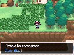 Ruta 17-18 en Pokémon Negro y Blanco — captura 2 Ruta 17-18 en Pokémon Negro y Blanco — captura 2