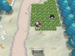 Ruta 1 en Pokémon Negro y Blanco — captura 2 Ruta 1 en Pokémon Negro y Blanco — captura 2