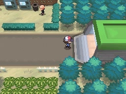 Ruta 9 en Pokémon Negro y Blanco — captura 2 Ruta 9 en Pokémon Negro y Blanco — captura 2