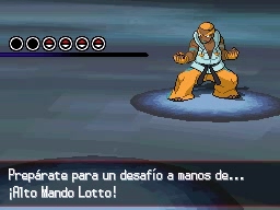 Liga Pokémon en Pokémon Negro y Blanco — captura 2